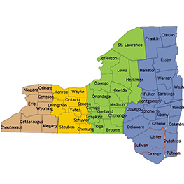 New Upstate NY Sales Reps